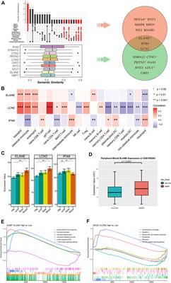 Co-expression and interaction network analysis reveals dysregulated neutrophil and T-cell activation as the core mechanism associated with septic shock